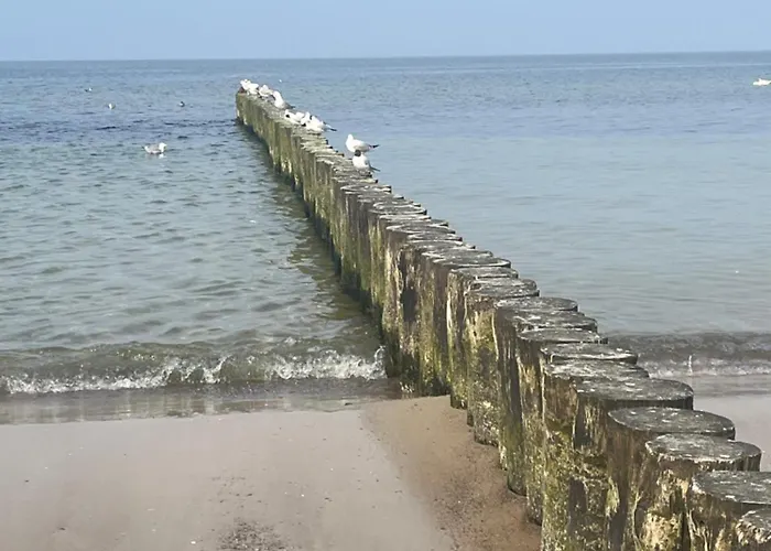 Апартаменты Like *